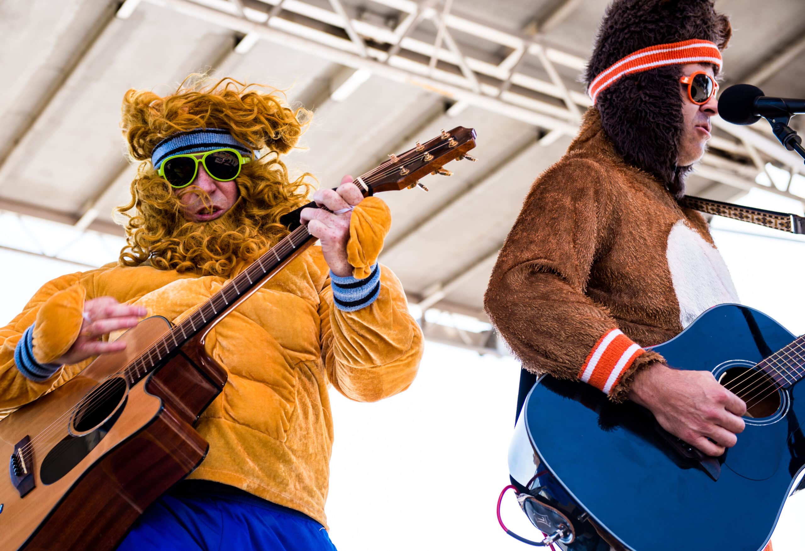 Bears_and_Lions1